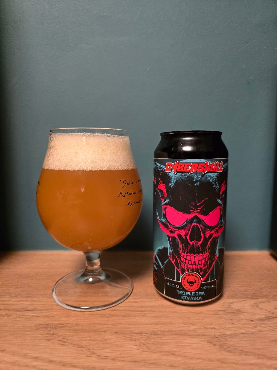 Photo de la critique de Infirbiere